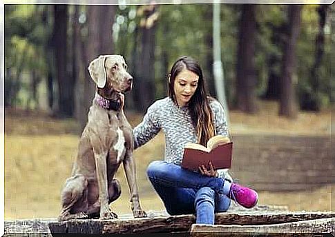 Animal therapy in adolescence