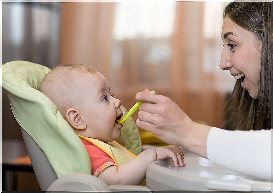 Healthy recipes for babies between 6 and 9 months