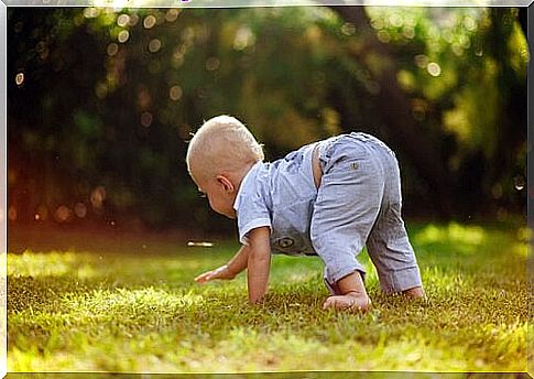 learn to crawl